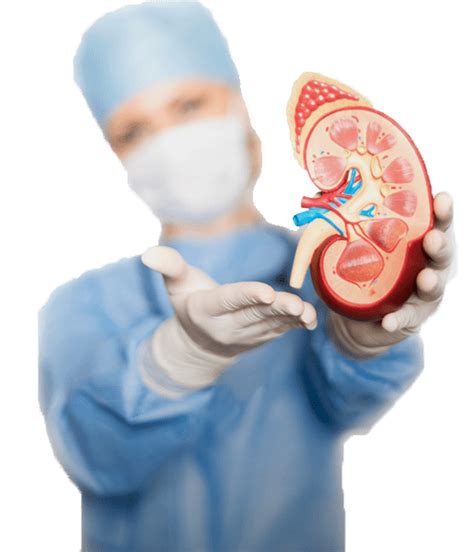Nephrologist Online .